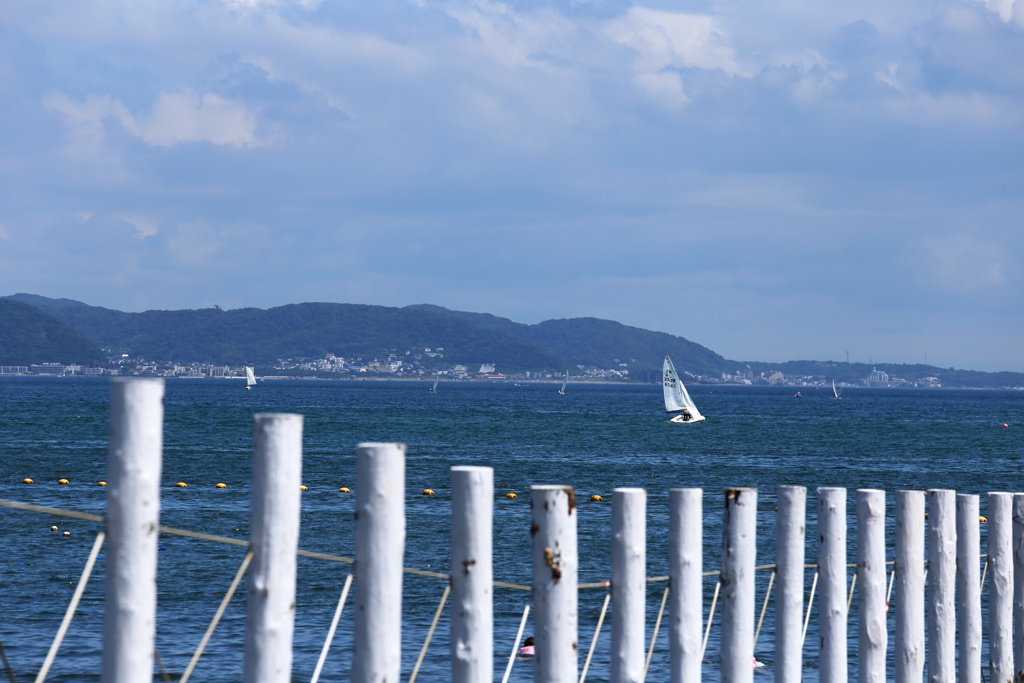 湘南の夏