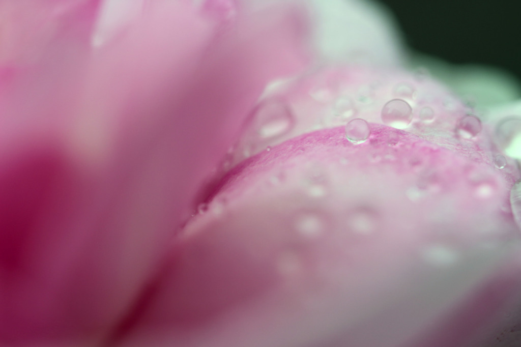 雨の輝き