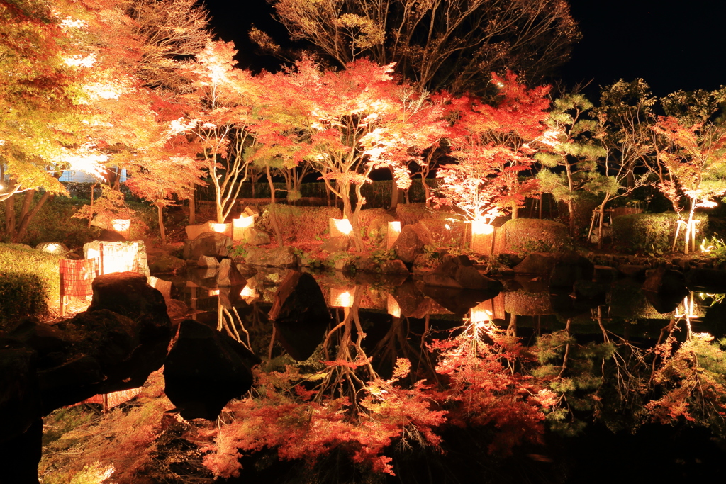雅な夜