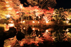 雅な夜