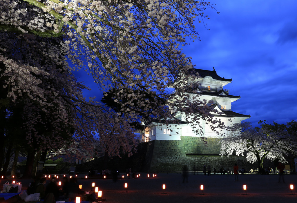 城址公園の夜