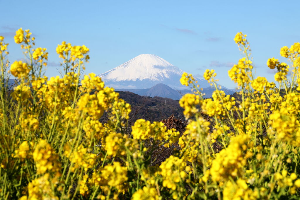 早春の眺め