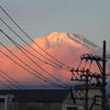 うっすら紅色