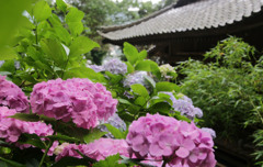 神社の境内で