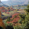 秦野戸川公園にて