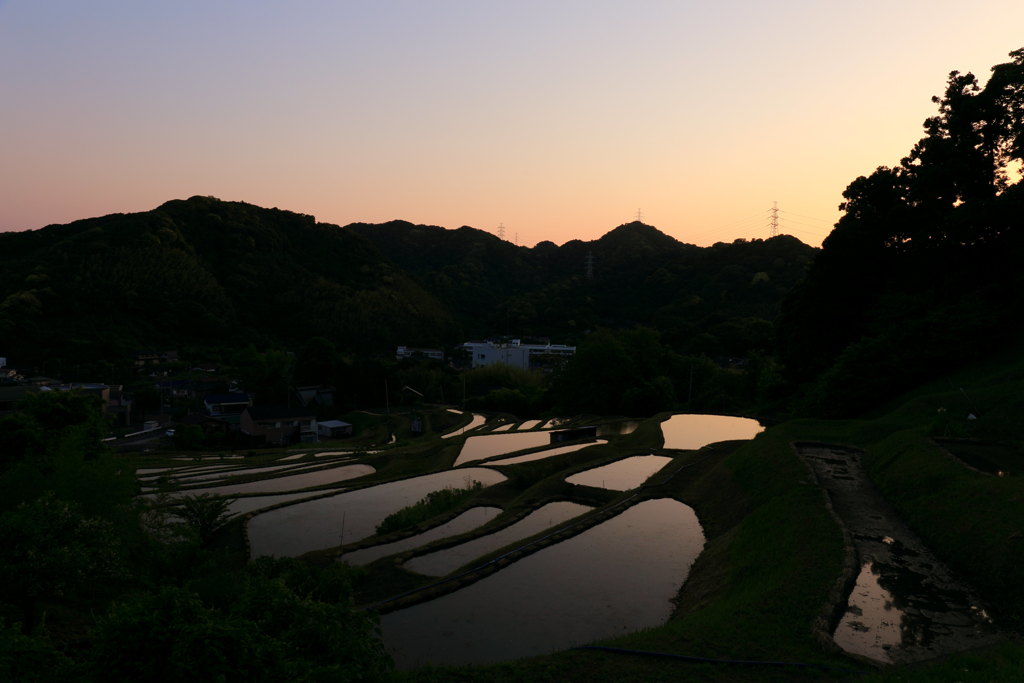 湘南の棚田