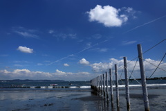 THE 夏!!