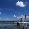 THE 夏!!