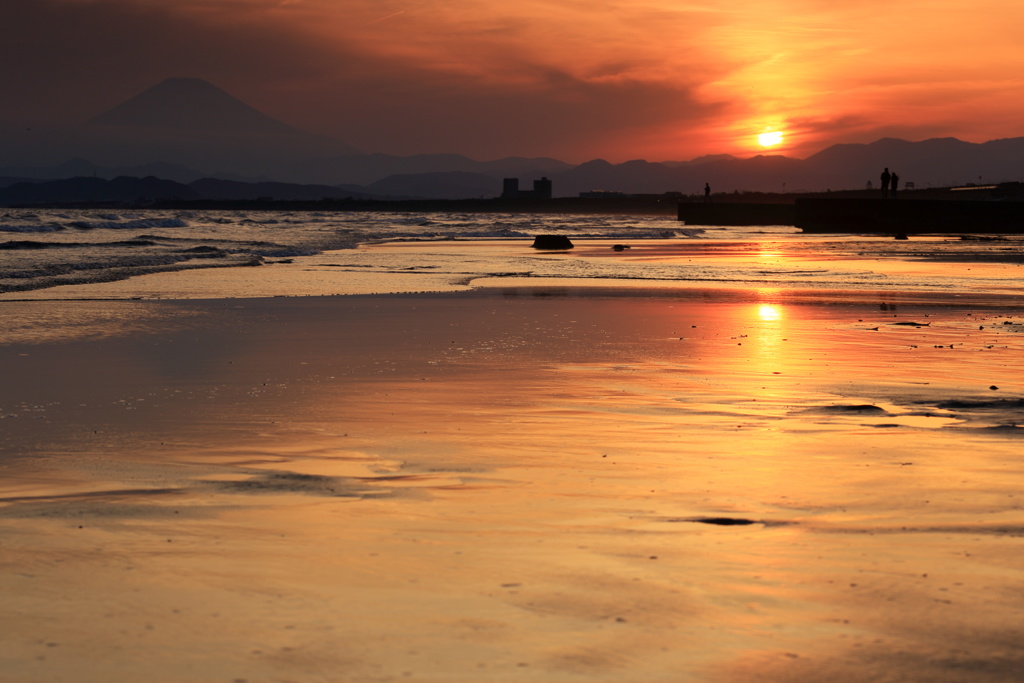 愛しの海岸