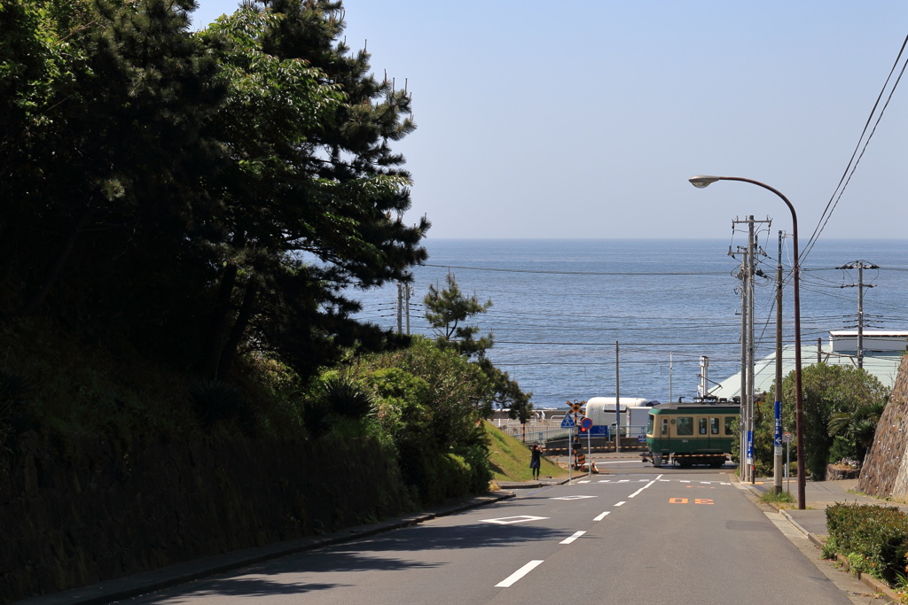 初夏の香り～♬