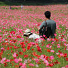 お花畑LOVE ～2