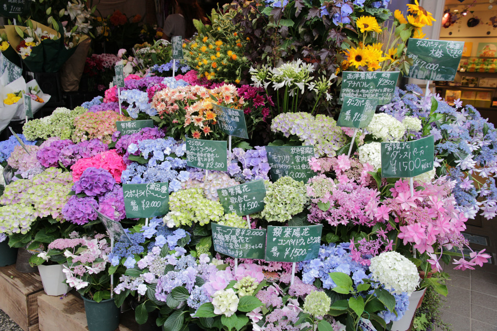 小町通りのお花屋さん