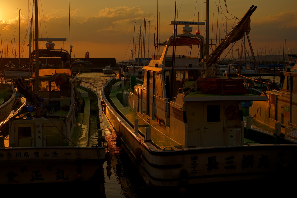 夕暮れ漁港