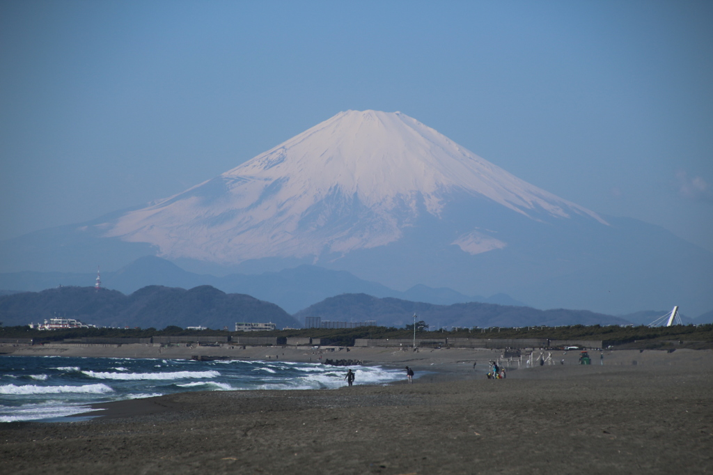 湘南に春が来た♪