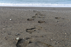 海　足跡
