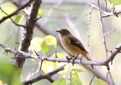 そろそろ来ると思っていました(^-^)