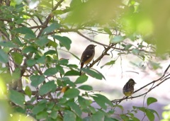 相席よろしいでしょうか？