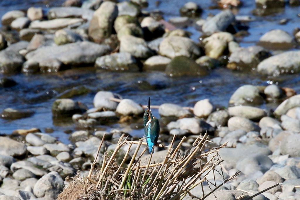 何が見えますか
