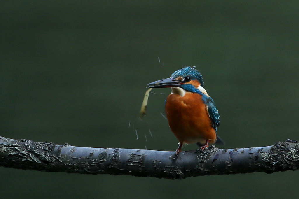まちがえちゃった