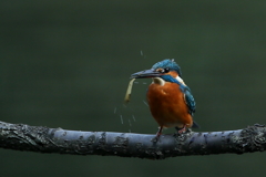 まちがえちゃった