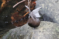 のびのび～～