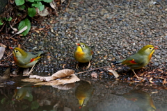 水分補給