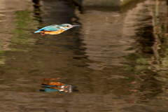 横っ飛び２