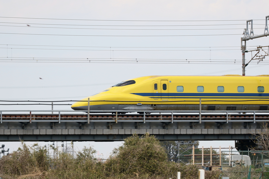 Ｄｒイエロー１