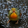 水分補給２