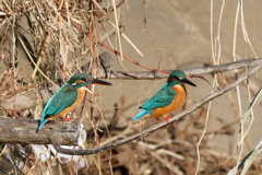 彼氏できたかな