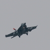玄関開けたら戦闘機