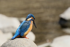 狙いをさだめて