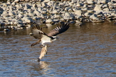 おとさないでよ～