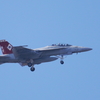 NF-100