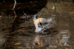 水がらみ