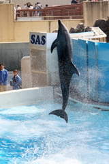 水がらみ