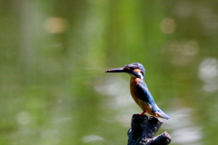 リフォームですか？