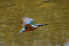 フレームのすみっこ２