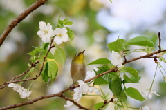 一息ついて