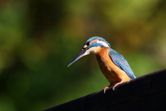 高い所から見回して