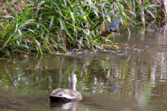 見られてしまいました