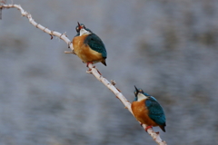彼氏できたかな？