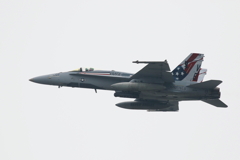 ＳＩＬＶＥＲ ＥＡＧＬＥＳ