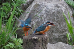 つぎいってみよ～