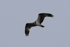 みさこちゃん１