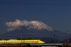 黄色いやつ