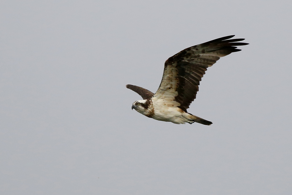 行って来まーす２