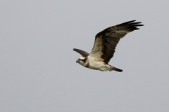 行って来まーす２