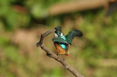 びっくりした！