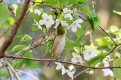 のびのび～～１